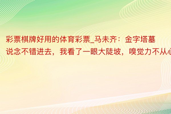 彩票棋牌好用的体育彩票_马未齐：金字塔墓说念不错进去，我看了一眼大陡坡，嗅觉力不从心