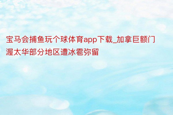 宝马会捕鱼玩个球体育app下载_加拿巨额门渥太华部分地区遭冰雹弥留