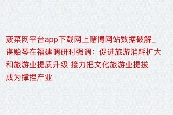 菠菜网平台app下载网上赌博网站数据破解_谌贻琴在福建调研时强调：促进旅游消耗扩大和旅游业提质升级 接力把文化旅游业提拔成为撑捏产业